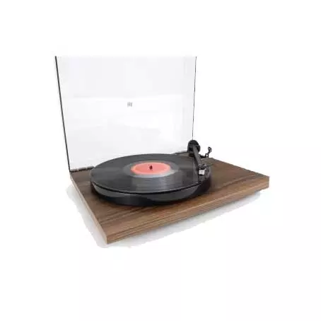 REGA PLANAR 1 WALNUT