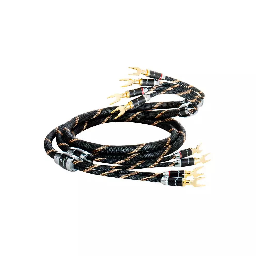VINCENT SPEAKER 2x1,5MTS