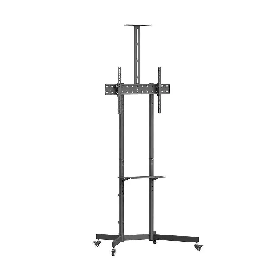 NORSTONE PRO VISION ONE